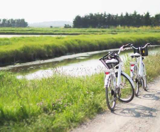 2 vélos sur les bord du marais près de Talmont St Hilaire