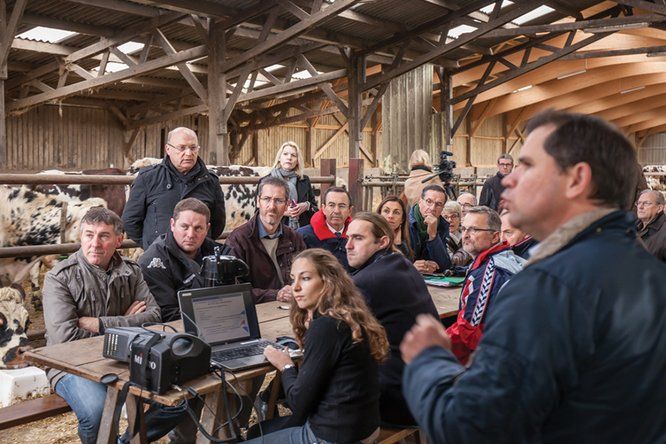 Bruno Retailleau en visite dans une exploitation agricole, agriculteurs et vaches à l'étable 