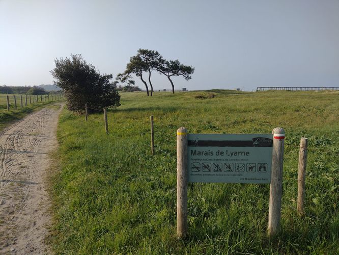 Agrandissement de l'image