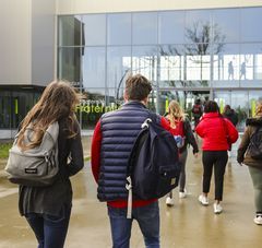 lycéens de dos marchent vers l'entrée de l'établissement