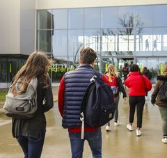 lycéens de dos marchent vers l'entrée de l'établissement 