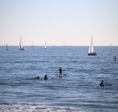 mer avec voiliers, paddle, surfeurs, baigneurs